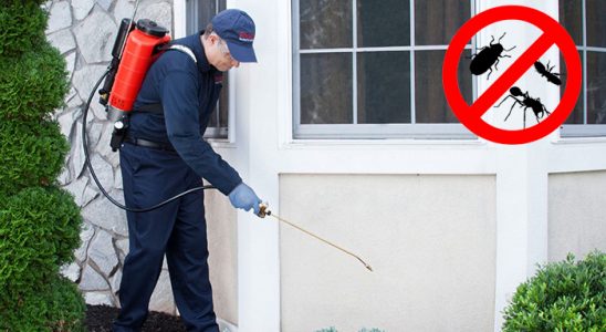 Zonguldak Böcek İlaçlama böcek ilaçlama ve haşere kontrolü — ilaclama-tr.com